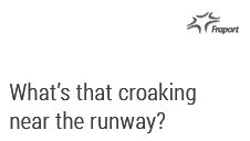 What's that croaking near the runway?
